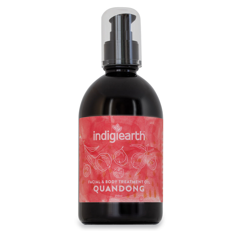 Quandong kernel oil benefits